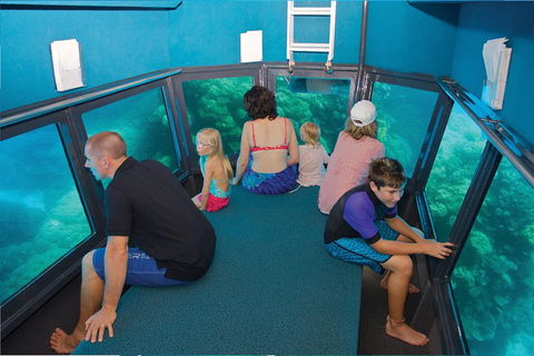 Great Barrier Reef Adventure From Cairns - Phillip Island Accommodation 1