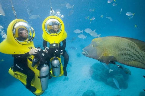Great Barrier Reef Adventure From Cairns - Phillip Island Accommodation 2