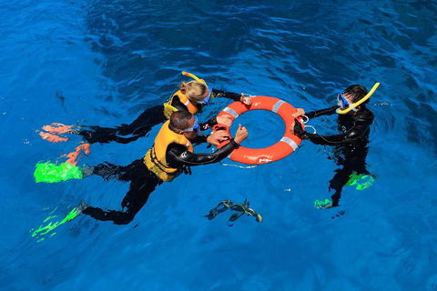 Great Barrier Reef Adventure From Cairns - Phillip Island Accommodation 3