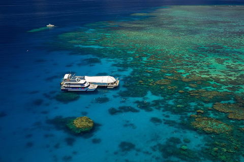 Great Barrier Reef Adventure From Cairns - Phillip Island Accommodation 4