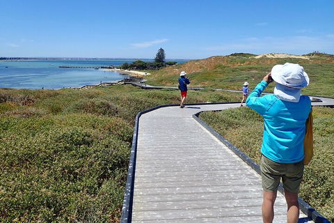 Penguin And Seal Islands Sea Kayaking Experience - Phillip Island Accommodation 1
