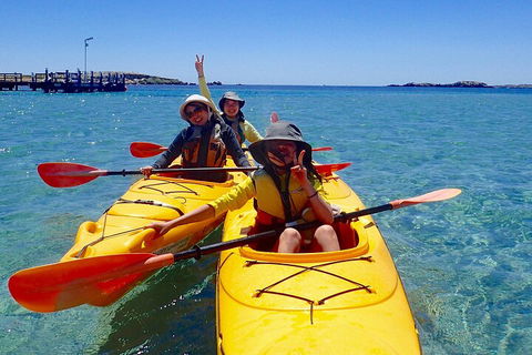 Penguin And Seal Islands Sea Kayaking Experience - Phillip Island Accommodation 4