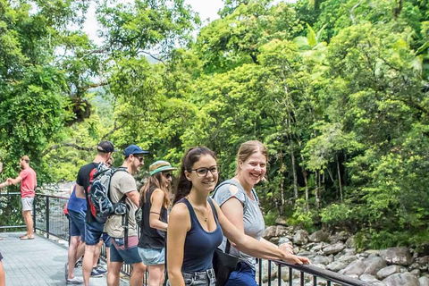 Cape Tribulation, Mossman Gorge, And Daintree Rainforest Day Trip From Cairns Or Port Douglas - Phillip Island Accommodation 0