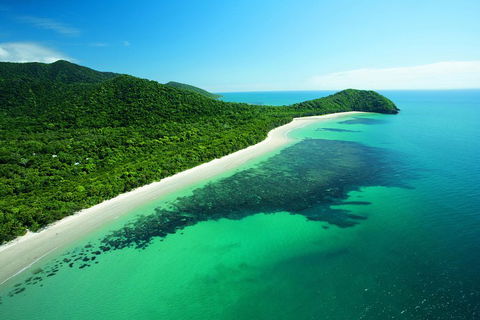 Cape Tribulation, Mossman Gorge, And Daintree Rainforest Day Trip From Cairns Or Port Douglas - Phillip Island Accommodation 2