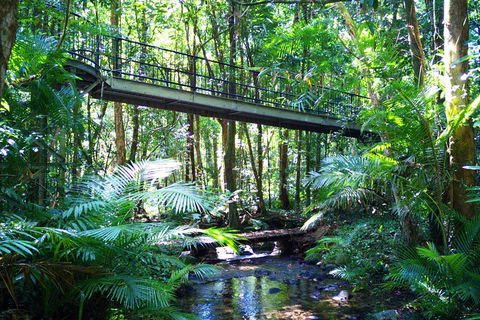 Cape Tribulation, Mossman Gorge, And Daintree Rainforest Day Trip From Cairns Or Port Douglas - Phillip Island Accommodation 3