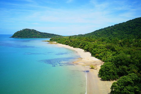 Cape Tribulation, Mossman Gorge, And Daintree Rainforest Day Trip From Cairns Or Port Douglas - Phillip Island Accommodation 5