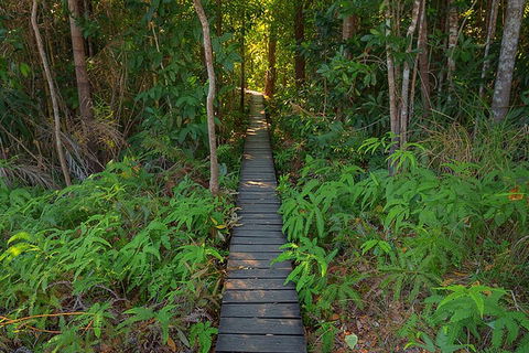 One Day Litchfield Park Adventures - Phillip Island Accommodation 4