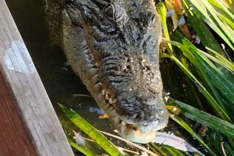 Litchfield Park Adventures And Jumping Crocodile Cruise + Butterfly Farm - Phillip Island Accommodation 1
