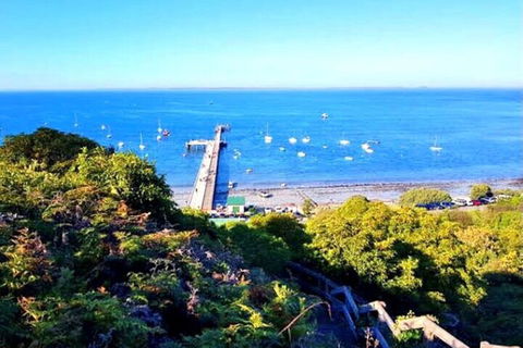 Mornington Peninsula Sightseeing Tour For 2-6 Guests. - Phillip Island Accommodation 1