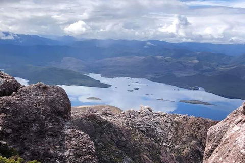 Tamar Valley Food And Wine Day Trip From Devonport, Ulverstone Or Burnie - Phillip Island Accommodation 3