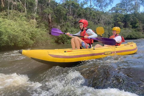 Yarra River Half-Day Rafting Experience - Phillip Island Accommodation 1