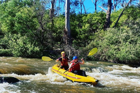 Yarra River Half-Day Rafting Experience - Phillip Island Accommodation 2
