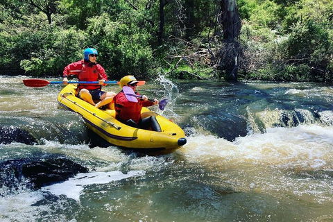 Yarra River Half-Day Rafting Experience - Phillip Island Accommodation 4
