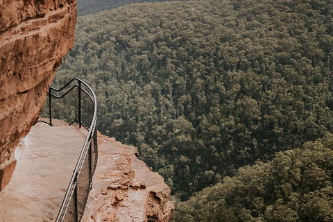 Private Blue Mountains And Wildlife Park Tour From Sydney With Barbecue Lunch - Phillip Island Accommodation 5