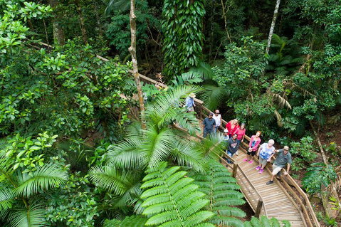 2 Day Daintree Rainforest, Cape Tribulation And Outback Chillagoe Tour - Phillip Island Accommodation 3