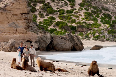 Kangaroo Island Scenic Trail Tour - Phillip Island Accommodation 5
