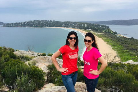 Small-Group Sydney's Northern Beaches And Ku-ring-gai National Park Bus Tour - Phillip Island Accommodation 3