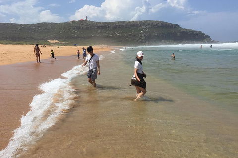 Small-Group Sydney's Northern Beaches And Ku-ring-gai National Park Bus Tour - Phillip Island Accommodation 5