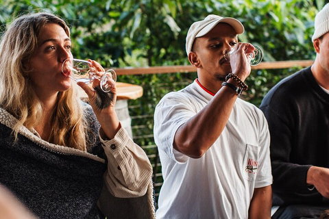 Full-Day Tour To Byron Bay Best Food And Drink Spots - Phillip Island Accommodation 1