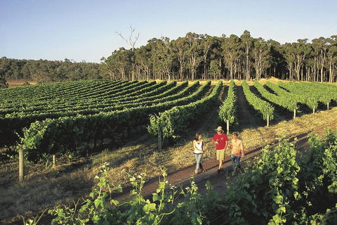 Margaret River, Caves, Wine And Cape Leeuwin Lighthouse Tour From Perth - Phillip Island Accommodation 1