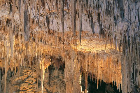 Margaret River, Caves, Wine And Cape Leeuwin Lighthouse Tour From Perth - Phillip Island Accommodation 3