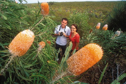 Best Of Perth Wildflower Season Day Trip - Phillip Island Accommodation 0