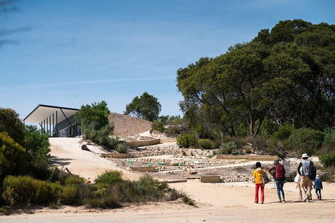 2-Hour Koala Walking Tour In Kangaroo Island - Phillip Island Accommodation 3