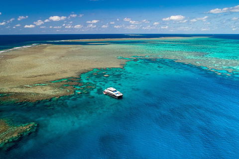 Calypso Outer Great Barrier Reef Cruise From Port Douglas - Phillip Island Accommodation 1