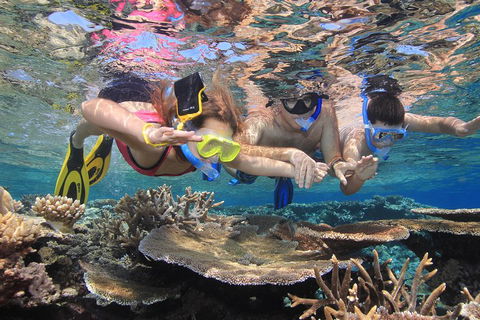 Calypso Outer Great Barrier Reef Cruise From Port Douglas - Phillip Island Accommodation 3