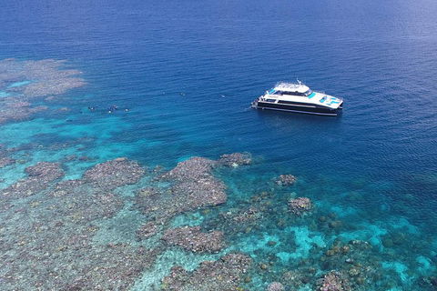Calypso Outer Great Barrier Reef Cruise From Port Douglas - Phillip Island Accommodation 4