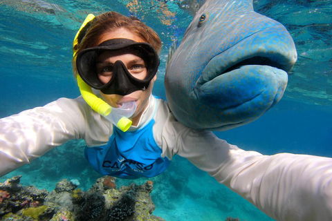 Calypso Outer Great Barrier Reef Cruise From Port Douglas - Phillip Island Accommodation 5