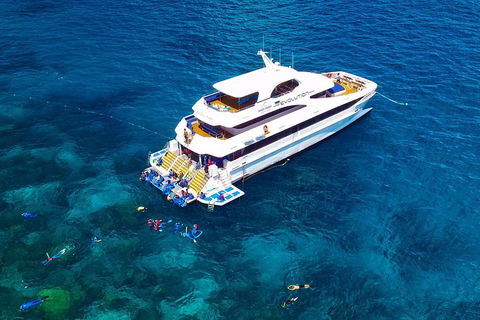 Great Barrier Reef Snorkeling And Diving Cruise From Cairns - Phillip Island Accommodation 5