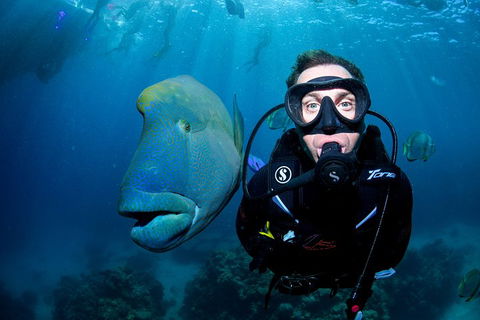 Full Day Reef Cruise Including 10 Minute Heli Scenic Flight: Get High Package - Phillip Island Accommodation 1