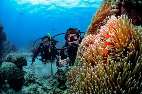 Full Day Reef Cruise Including 10 Minute Heli Scenic Flight: Get High Package - Phillip Island Accommodation 5