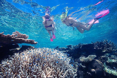 Great Barrier Reef Scenic Helicopter Tour And Cruise From Cairns - Phillip Island Accommodation 3