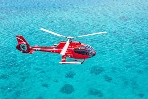 Cruise To Moore Reef Pontoon And Return Helicopter Flight From Cairns - Phillip Island Accommodation 1