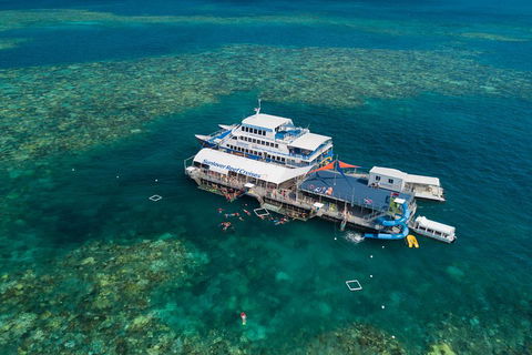 Cruise To Moore Reef Pontoon And Return Helicopter Flight From Cairns - Phillip Island Accommodation 2