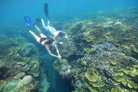 Scenic Helicopter Flight To Moore Reef And Return Snorkeling Cruise From Cairns - Phillip Island Accommodation 1