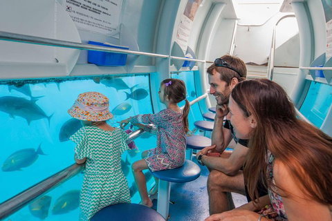 Scenic Helicopter Flight To Moore Reef And Return Snorkeling Cruise From Cairns - Phillip Island Accommodation 3