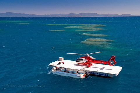 Scenic Helicopter Flight To Moore Reef And Return Snorkeling Cruise From Cairns - Phillip Island Accommodation 4