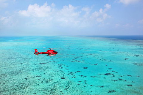 Helicopter And Cruise Packages From Port Douglas - Phillip Island Accommodation 1