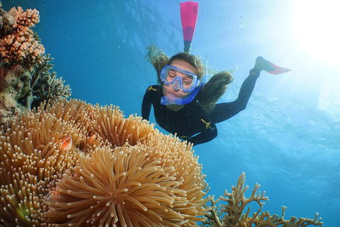 Helicopter And Cruise Packages From Port Douglas - Phillip Island Accommodation 3