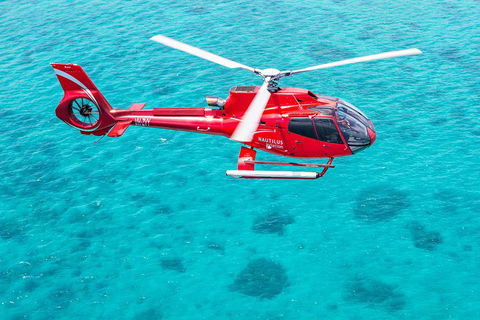 Helicopter And Cruise Packages From Port Douglas - Phillip Island Accommodation 5