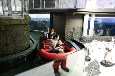 Sydney Attractions Pass: SEA LIFE Aquarium, Sydney Tower Eye, WILD LIFE Zoo And Madame Tussauds - Phillip Island Accommodation 0