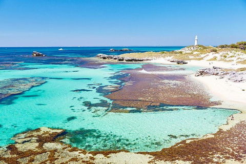 Fremantle To Rottnest Island Roundtrip Ferry Ticket - Phillip Island Accommodation 2