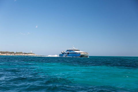 Fremantle To Rottnest Island Roundtrip Ferry Ticket - Phillip Island Accommodation 5