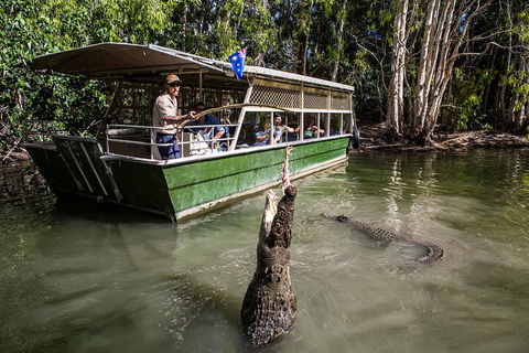 Hartley's Crocodile Adventures Day Trip From Palm Cove - Phillip Island Accommodation 2