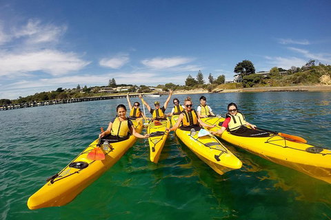 Mornington Peninsula Kayak Coastline Tour Of Dolphin Sanctuary - Phillip Island Accommodation 2