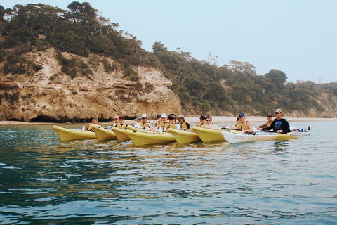 Mornington Peninsula Kayak Coastline Tour Of Dolphin Sanctuary - Phillip Island Accommodation 4