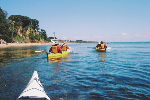 Mornington Peninsula Kayak Coastline Tour Of Dolphin Sanctuary - Phillip Island Accommodation 5